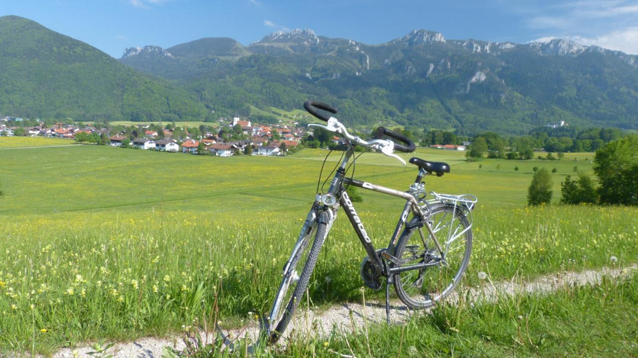 Hotel Wirtshaus Zum Baumbach à Aschau im Chiemgau Extérieur photo
